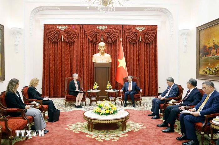 Tổng Bí thư, Chủ tịch nước Tô Lâm tiếp Đại sứ Vương quốc Na Uy Hilde Solbakken. (Ảnh: Thống Nhất/TTXVN)