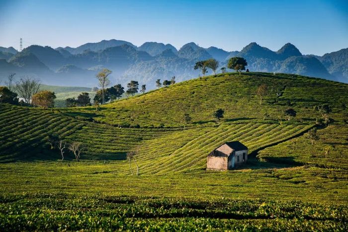AI có thể trở thành những "hướng dẫn viên" văn hóa bản địa. (Ảnh minh họa: Vương Công Nam/Vietnam+)