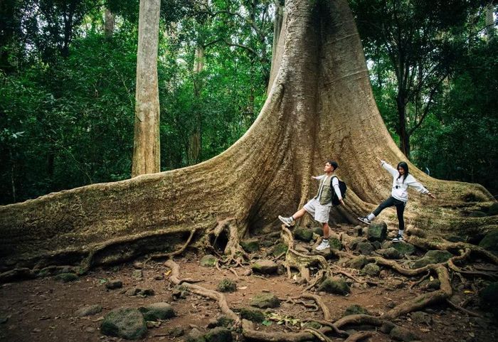 Du khách khám phá Vườn quốc gia Nam Cát Tiên. (Ảnh minh họa: Vương Công Nam/Vietnam+)