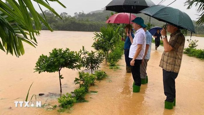 Lãnh đạo xã Thác Bà (Lào Cai) kiểm tra các vị trí bị ngập úng. (Ảnh: TTXVN phát)