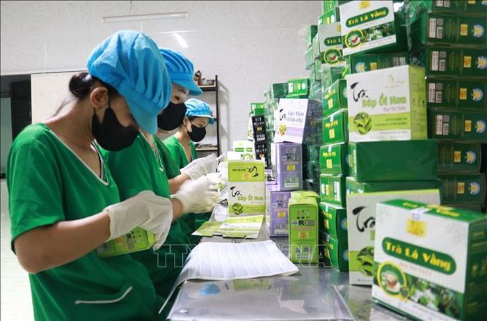 Toàn tỉnh Quảng Trị hiện có 403 sản phẩm OCOP được công nhận. Ảnh: Tường Vi/TTXVN
