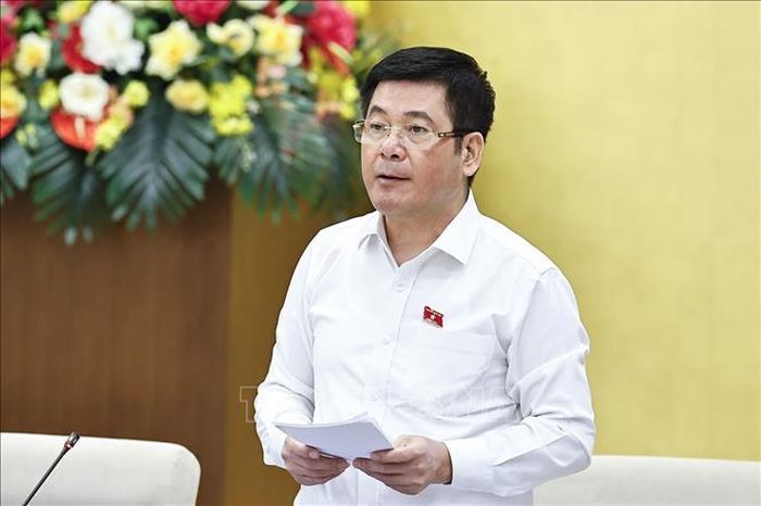 Phó Chủ tịch Quốc hội Nguyễn Hồng Diên phát biểu. Ảnh: Doãn Tấn/TTXVN