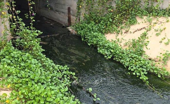 Dòng nước từ cống thoát nước mưa trên đường Độc Lập đổ ra bờ biển phường Tuy Hòa bốc mùi hôi.
