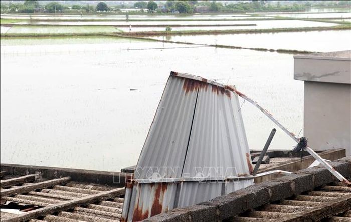 Vòi rồng xuất hiện tại khu vực Nghĩa Môn (cũ) nay là thôn Quang Hưng (xã Bình Thanh, tỉnh Hưng Yên) gây ra lốc xoáy ở cánh đồng mới cấy lúa. Ảnh: Nguyễn Công Hải/TTXVN