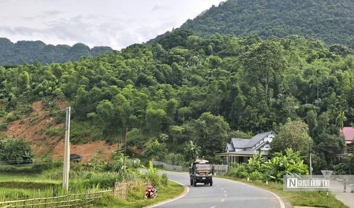 Thanh Hóa có khoảng 76.000 ha cây tre, luồng, nhưng phần lớn bán thô ra thị trường ngoài tỉnh nên giá trị kinh tế mang lại chưa cao.