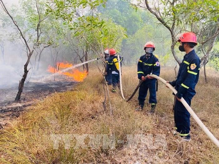 Lực lượng Cảnh sát phòng cháy chữa cháy nỗ lực dập tắt vụ cháy rừng tràm tại khu vực giáp ranh xã Nam Cửa Việt và Triệu Cơ (Quảng Trị). Ảnh: TXVN phát