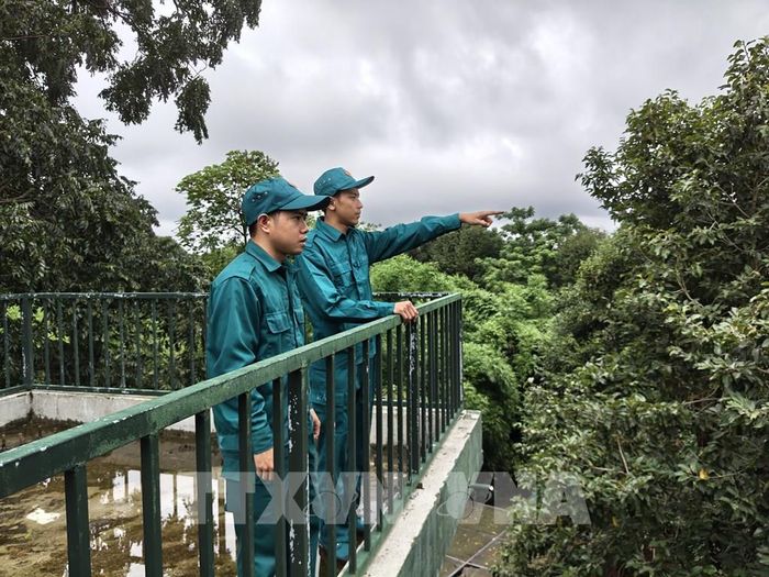 Lực lượng chốt dân quân thường trực Ban chỉ huy Quân sự xã Đăk Ơ làm nhiệm vụ. Ảnh: K GƯỈH - TTXVN