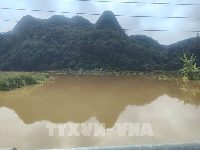 Cánh đồng bị ngập sâu trong nước. Ảnh: TTXVN phát
