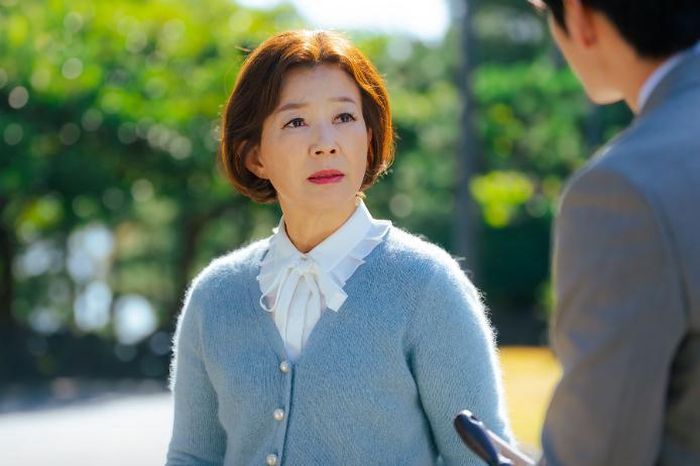 Kim Seo Ra đảm nhận vai nữ phó chủ tịch che giấu bí mật liên quan đến con trai mình.