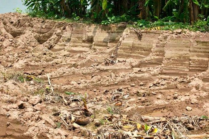 Khu vực đất nông nghiệp bị múc trộm