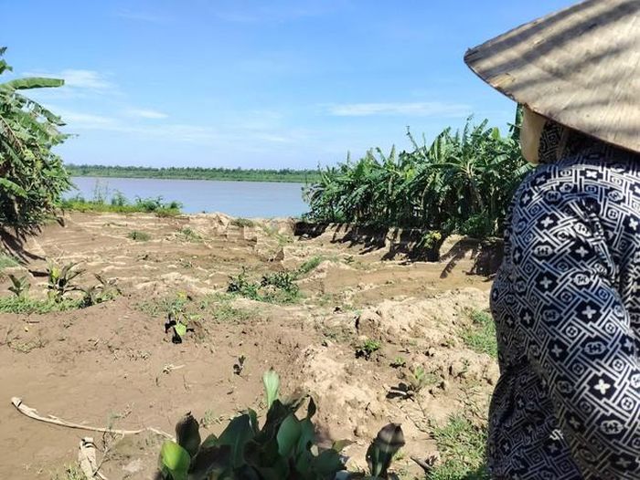 Sau hơn 2 tháng kể từ ngày ruộng của gia đình bị múc trộm, bà Nhàn mong sớm tìm ra thủ phạm