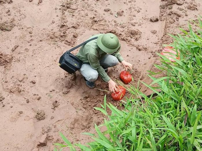 Thời điểm mẫu đất được lấy đi giám định