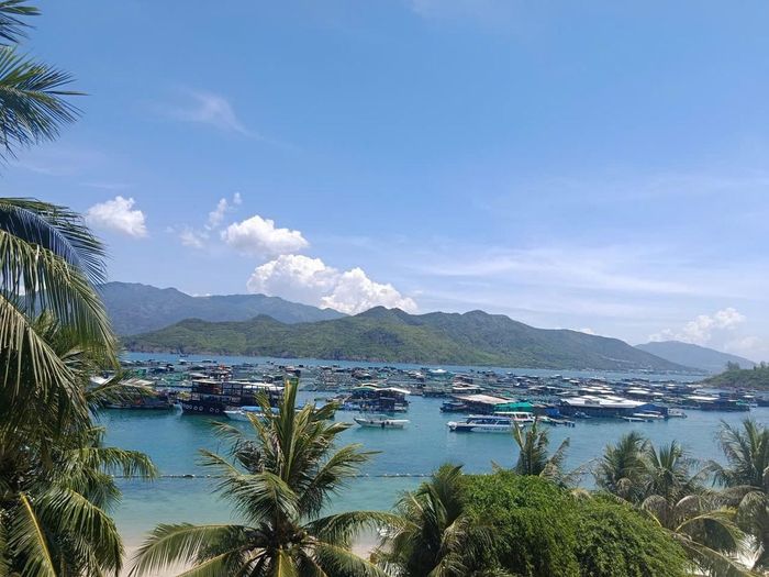Cận cảnh một số bè nổi tự phát mọc lên rải rác quanh đảo Trí Nguyên