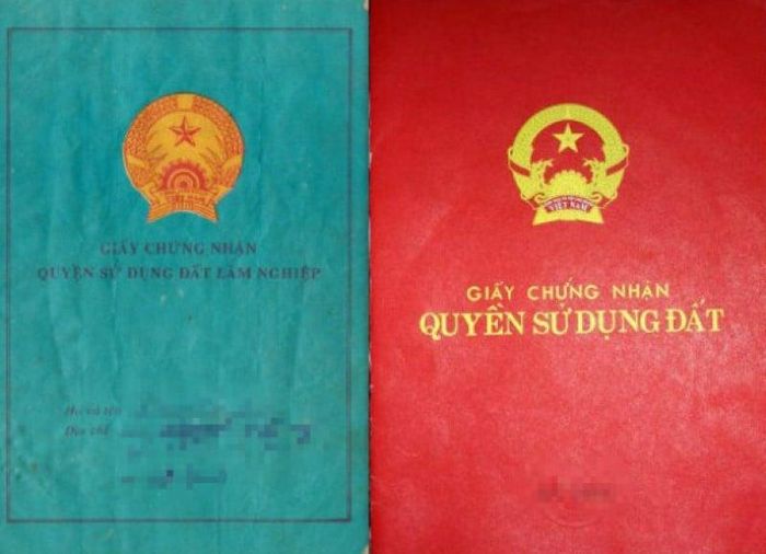 Việc chuyển từ đất sổ xanh sang sổ đỏ là hoàn toàn có thể (Nguồn: Internet)