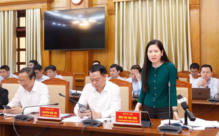  Đồng chí Mai Thị Thu Vân, Phó Chủ nhiệm Văn phòng Chính phủ phát biểu. 