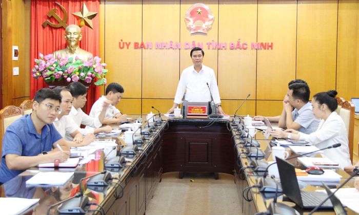 Phó Chủ tịch UBND tỉnh Lê Xuân Lợi phát biểu tại buổi làm việc.
