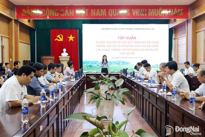 Hội nghị tập huấn thu hút đông các hợp tác xã, nông dân, doanh nghiệp trên địa bàn thành phố. Ảnh: B.Nguyên