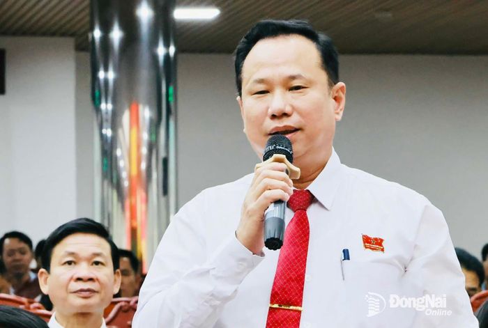 Đại biểu HĐND thành phố Nông Thanh Tuấn chất vấn về vấn đề phát triển du lịch tại kỳ họp. Ảnh: Công Nghĩa