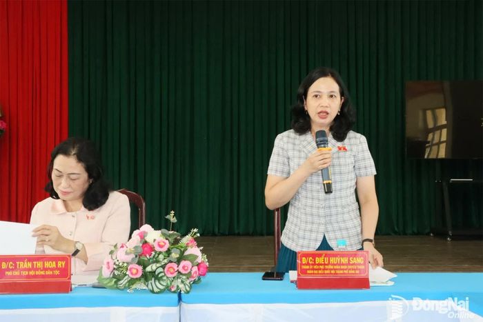 Thành ủy viên, Phó Trưởng đoàn chuyên trách Đoàn Đại biểu Quốc hội thành phố Đồng Nai Điểu Huỳnh Sang phát biểu tại buổi làm việc. Ảnh: Quang Minh
