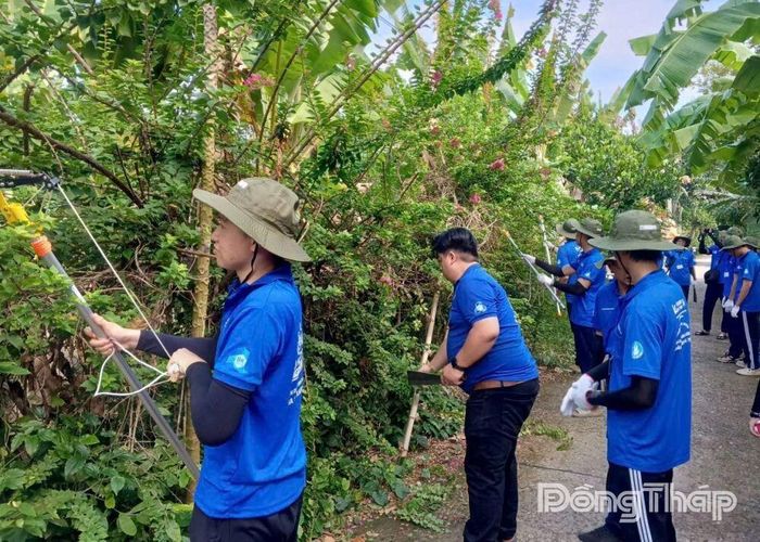 Các bạn sinh viên Trường Đại học Bách Khoa tham gia phát quang bụi rậm trên địa bàn xã Tân Khánh Trung.