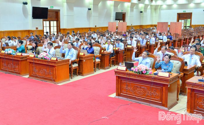 Đại biểu biểu quyết thông qua Nghị quyết.