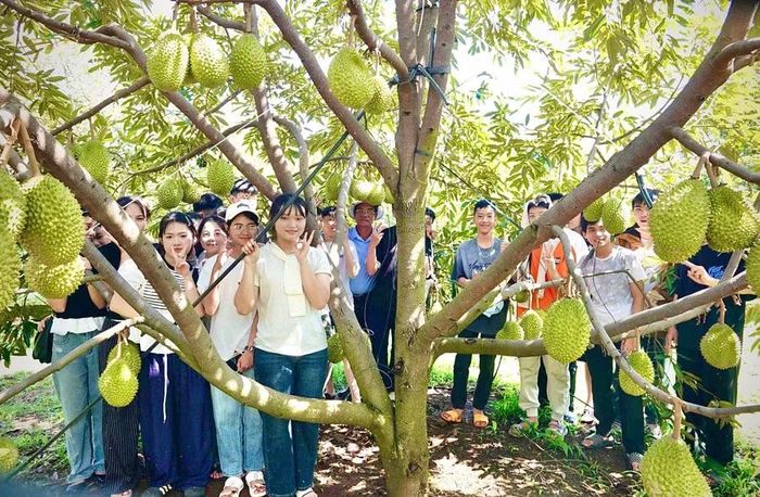 Học sinh Trường THCS Ia Ly (xã Ia Ly, tỉnh Gia Lai) tham quan mô hình du lịch sinh thái gắn với trải nghiệm nông nghiệp tại trang trại của ông Nguyễn Chất Sâm. Ảnh: C.S
