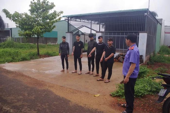  Các đối tượng khai nhận vụ việc xô xát xảy ra sau khi đã ăn nhậu trong bữa tiệc sinh nhật. Ảnh: Quang Thiện 