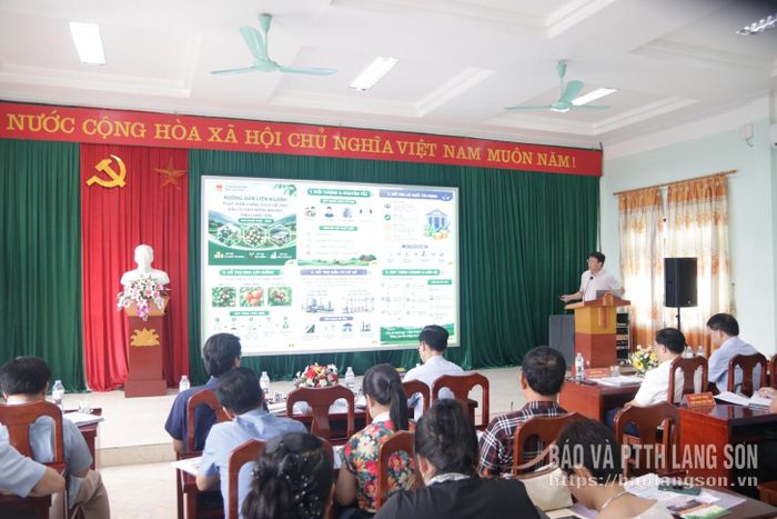 Lãnh đạo Liên minh HTX tỉnh phổ biến nội dung chính sách hỗ trợ đầu tư vào nông nghiệp tại hội nghị