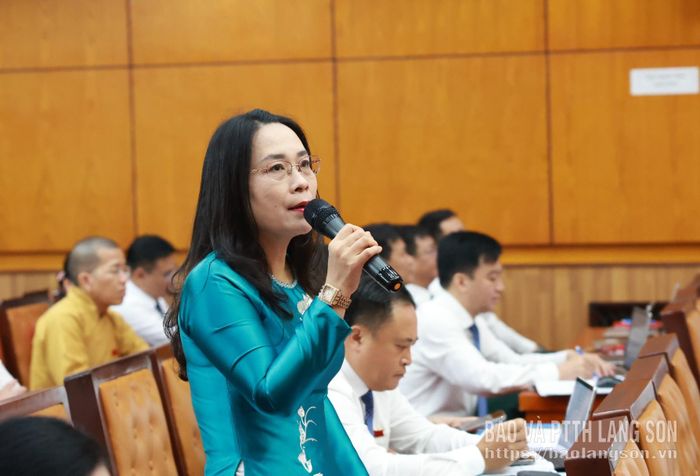 Đại biểu HĐND tỉnh nêu câu hỏi chất vấn