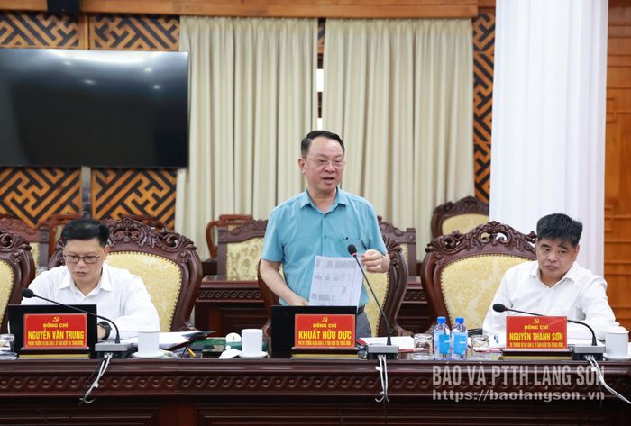 Thành viên đoàn giám sát phát biểu tại buổi làm việc