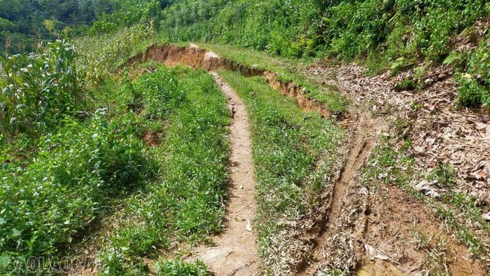 Cung sạt lớn tại thôn 9 Mai Đào, xã Thượng Hà; phía dưới là khu vực người dân đang sinh sống, sản xuất.