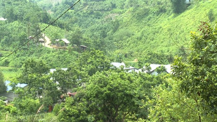 Các hộ dân thôn 9 Mai Đào sinh sống dưới chân đồi, nơi được xác định có nguy cơ sạt trượt trong mùa mưa lũ.