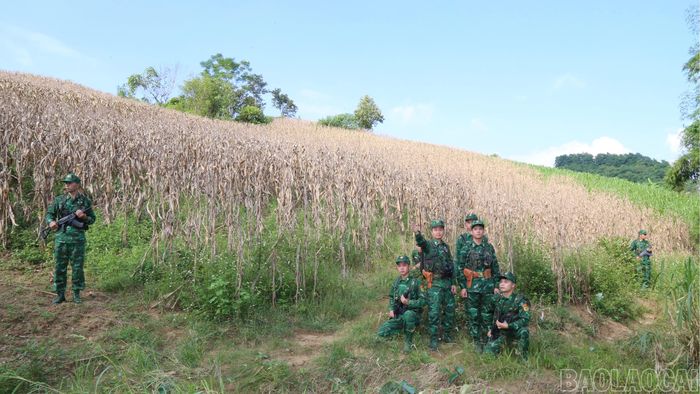Cán bộ, chiến sĩ biên phòng tuần tra, kiểm soát, bảo vệ vững chắc chủ quyền, an ninh biên giới quốc gia.