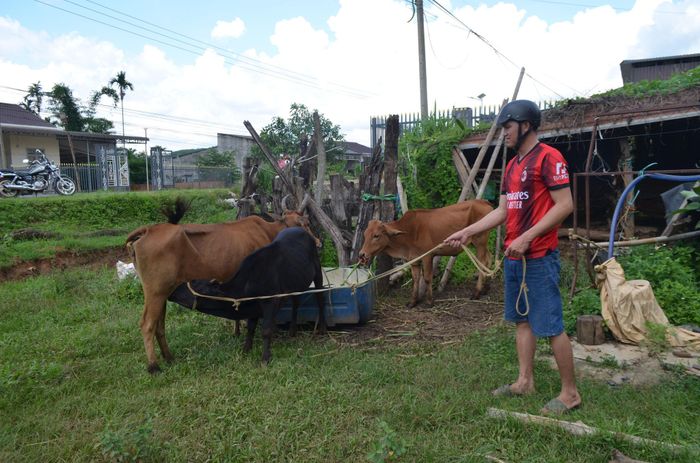 Nhiều hộ nghèo được hỗ trợ con giống tạo sinh kế ổn định