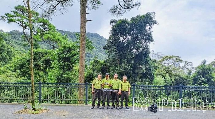 Cán bộ Hạt Kiểm lâm Tam Đảo - Tam Dương sử dụng thiết bị bay không người lái để kiểm tra hiện trạng rừng.