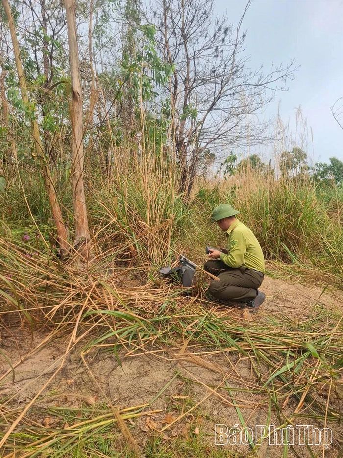 Cán bộ Hạt Kiểm lâm Tam Đảo - Tam Dương sử dụng thiết bị bay không người lái để kiểm tra hiện trạng rừng.