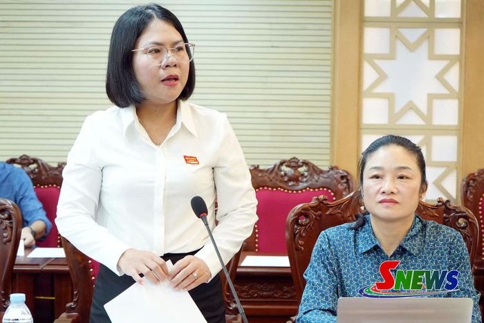 Trưởng ban Văn hóa - Xã hội phát biểu kết luận Hội nghị.