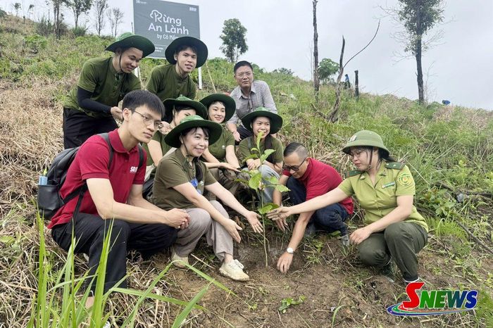 Hạt Kiểm Lâm khu vực 3, Trung tâm Phát triển nông thôn bền vững (SRD), Công ty cổ phần Mỹ phẩm Thiên nhiên Cỏ Mềm, thành phố Hà Nội đồng hành cùng xã Bình Thuận triển khai trồng rừng.