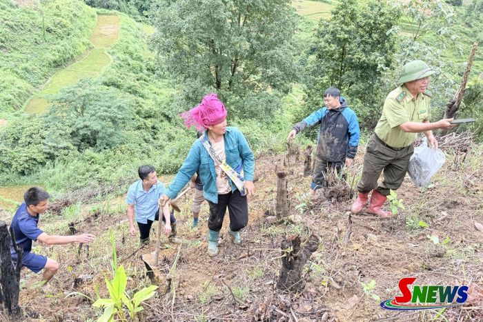 Lãnh đạo xã Bình Thuận cùng người dân ra quân trồng cây phủ xanh đất trống, đồi núi trọc