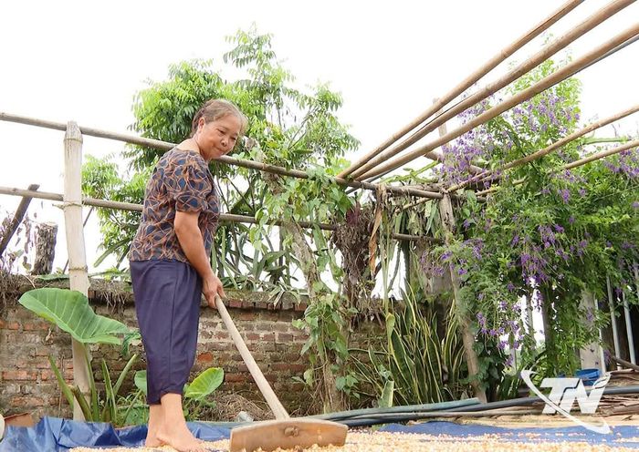 Gia đình bà Nông Thị Huyền (thôn Yến Lạc, xã Na Rì) dần ổn định cuộc sống và khôi phục sản xuất.