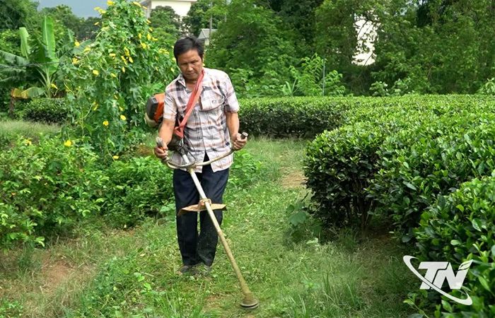Gia đình ông Lương Văn Bình (xóm Ao Rôm 2, xã Văn Hán) đã nhận được hơn 200 triệu đồng hỗ trợ khắc phục thiệt hại về nhà ở, tài sản và sản xuất nông nghiệp.