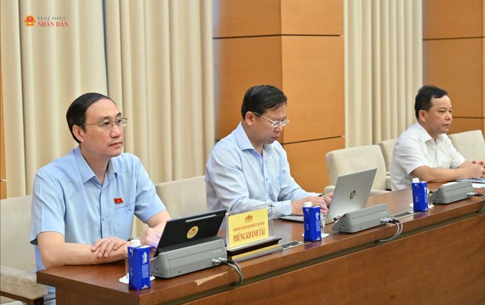 Các đại biểu dự phiên họp