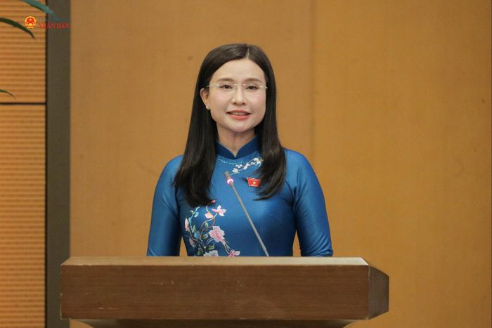 Phó Chủ nhiệm Ủy ban Dân nguyện và Giám sát Nguyễn Phạm Duy Trang phát biểu