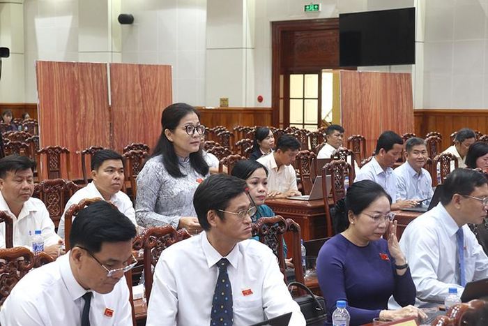 Đại biểu Lê Thị Hồng Phượng đặt câu hỏi chất vấn