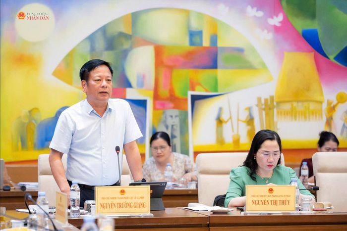 Phó Chủ nhiệm Ủy ban Pháp luật và Tư pháp Nguyễn Trường Giang phát biểu