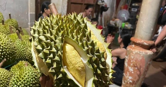 Mô hình sầu riêng Krông Nô đang được hỗ trợ xây dựng mã số vùng trồng và nhãn hiệu tập thể, hướng tới nâng cao giá trị sản phẩm. 