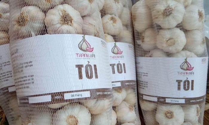 Đăng ký nhãn hiệu tập thể, truy xuất nguồn gốc và chuẩn hóa bao bì đang giúp các HTX bảo vệ thương hiệu Tỏi Phan Rang trước tình trạng hàng giả, hàng nhái.