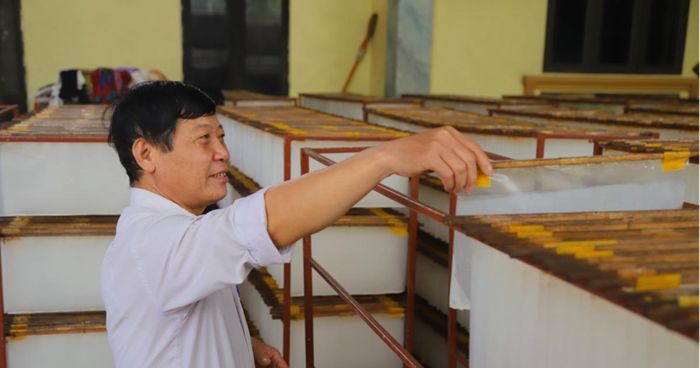 HTX Trung Hà được giao sử dụng nhãn hiệu tập thể “Bánh đa nem Trung Hà”.