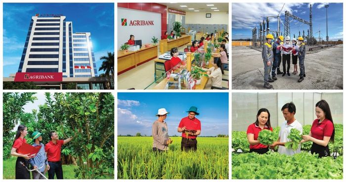 Việc được tăng vốn điều lệ sẽ giúp Agribank nâng cao năng lực tài chính, đáp ứng nhu cầu vốn tín dụng phục vụ phát triển kinh tế - xã hội của đất nước đạt mục tiêu tăng trưởng hai con số trong năm 2026 và các năm tiếp theo
