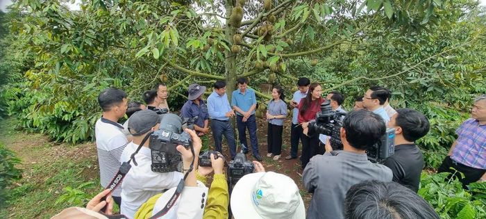 Thứ trưởng Nguyễn Hoàng Hiệp đi kiểm tra thực tế tại địa phương có vùng trồng sầu riêng - Ảnh: Minh Việt